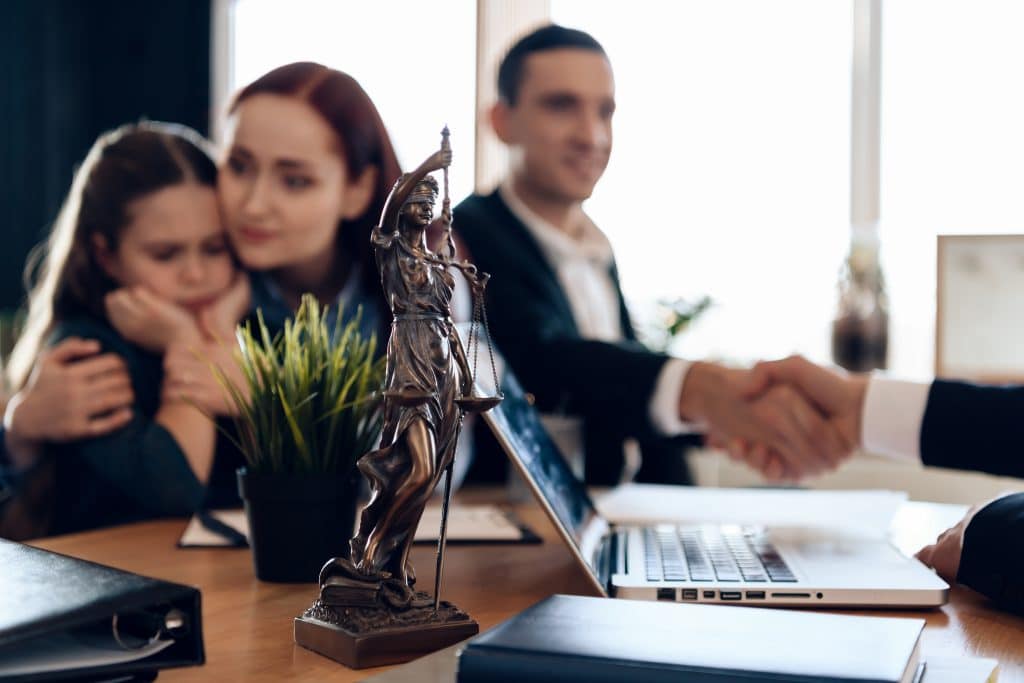 Family law practice area legal advice is the application of abstract principles of law to the concrete facts of the client's case.